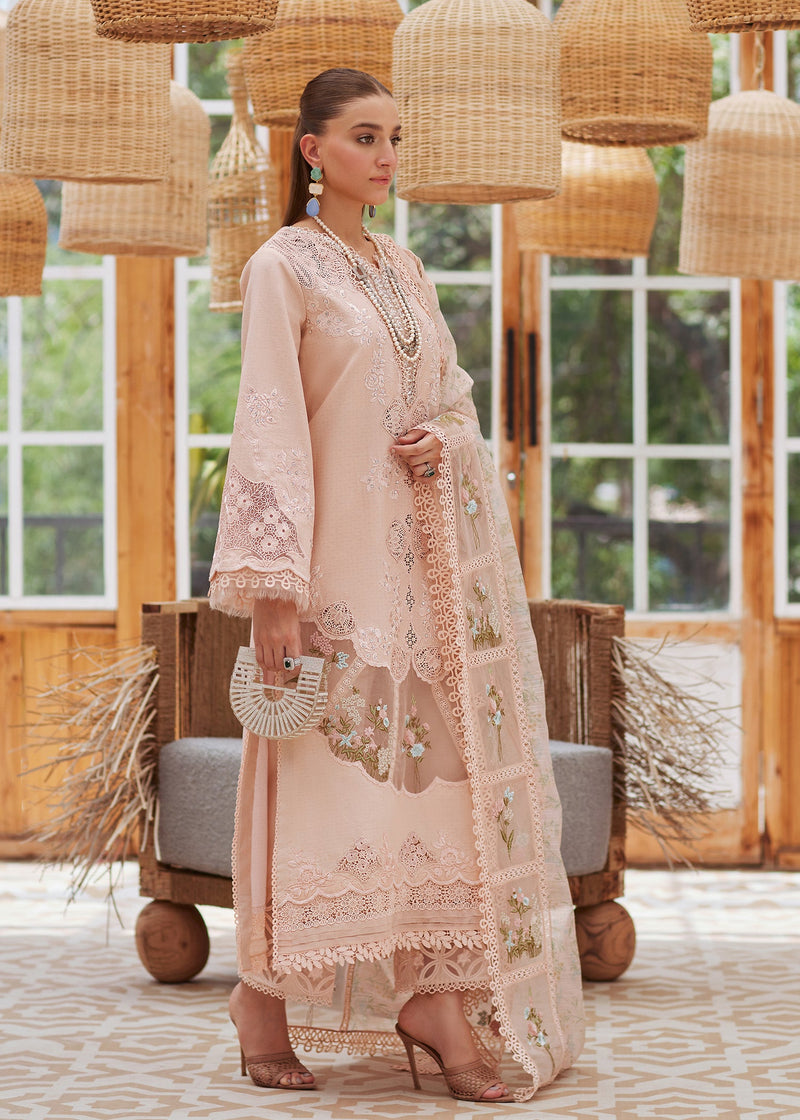 Crimson | Blush - Cambric With Organza Dupatta Collection