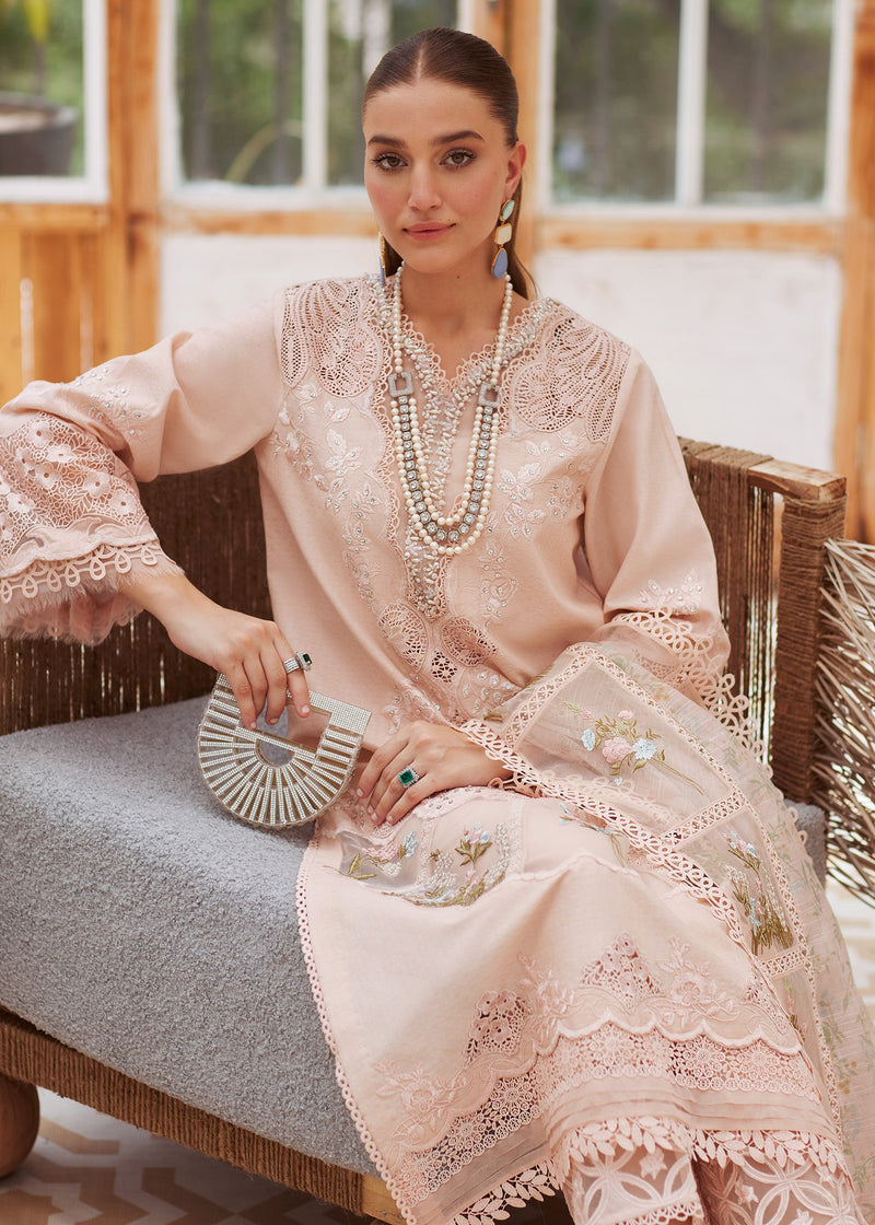 Crimson | Blush - Cambric With Organza Dupatta Collection