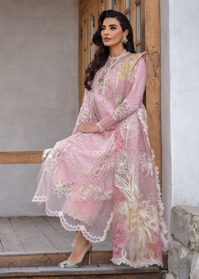 Crimson A Floral Mesh | Baby Pink - Chikankari Collection