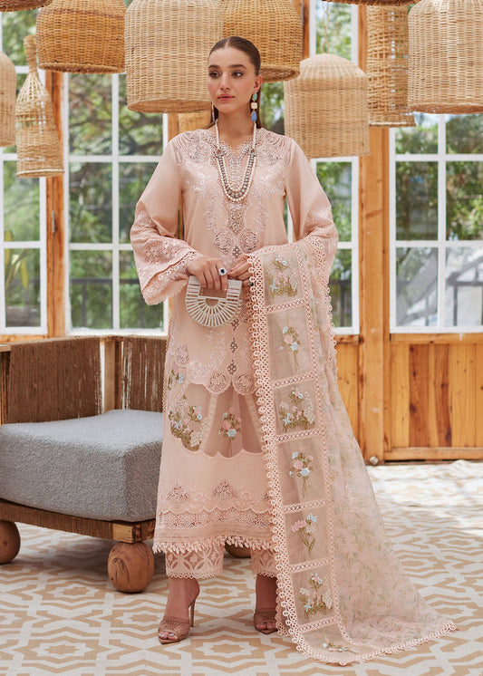 Crimson | Blush - Cambric With Organza Dupatta Collection
