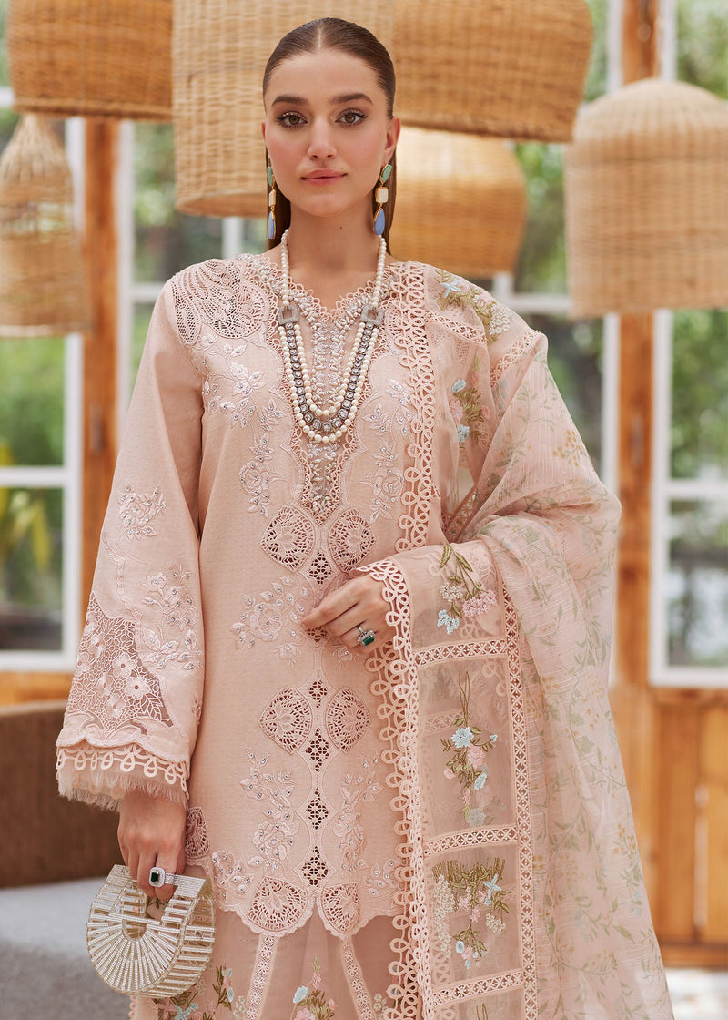 Crimson | Blush - Cambric With Organza Dupatta Collection