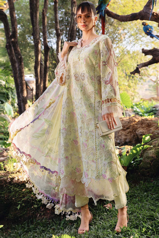 Maria B | Yellow - Lawn Collection