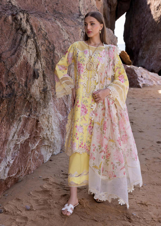 Crimson D3 A | Sunflower - Lawn Collection