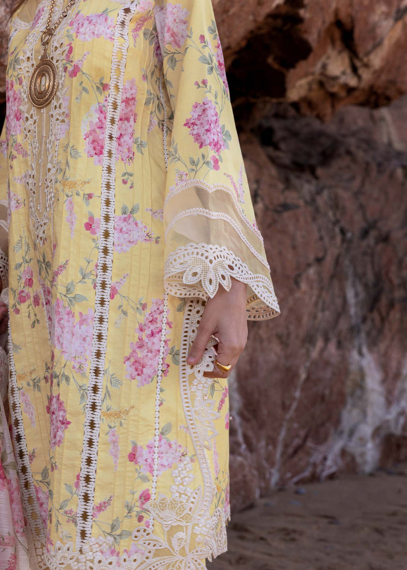 Crimson D3 A | Sunflower - Lawn Collection