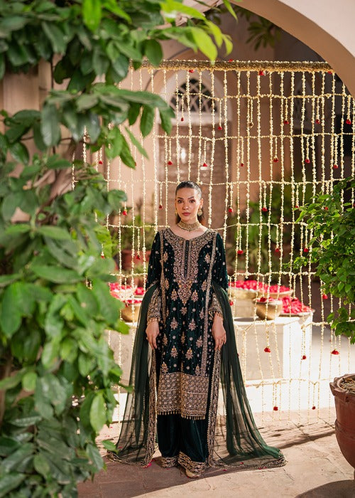 Haseens | Bottle Green - Velvet Collection